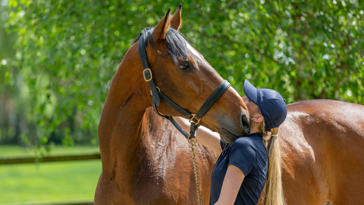 Navigating First-Time Horse Ownership: A Comprehensive Guide to Commitment, Costs, and Care