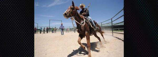 Navigating the Early Stages of Equine Training: A Colt’s Rocky Start and the Path Forward