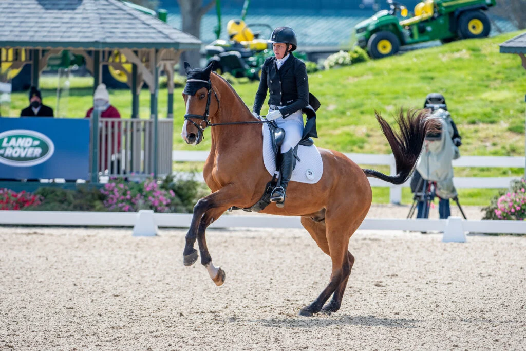 Navigating the Labyrinth: Eight Strategies for Mastering the Challenging Flying Change in Dressage