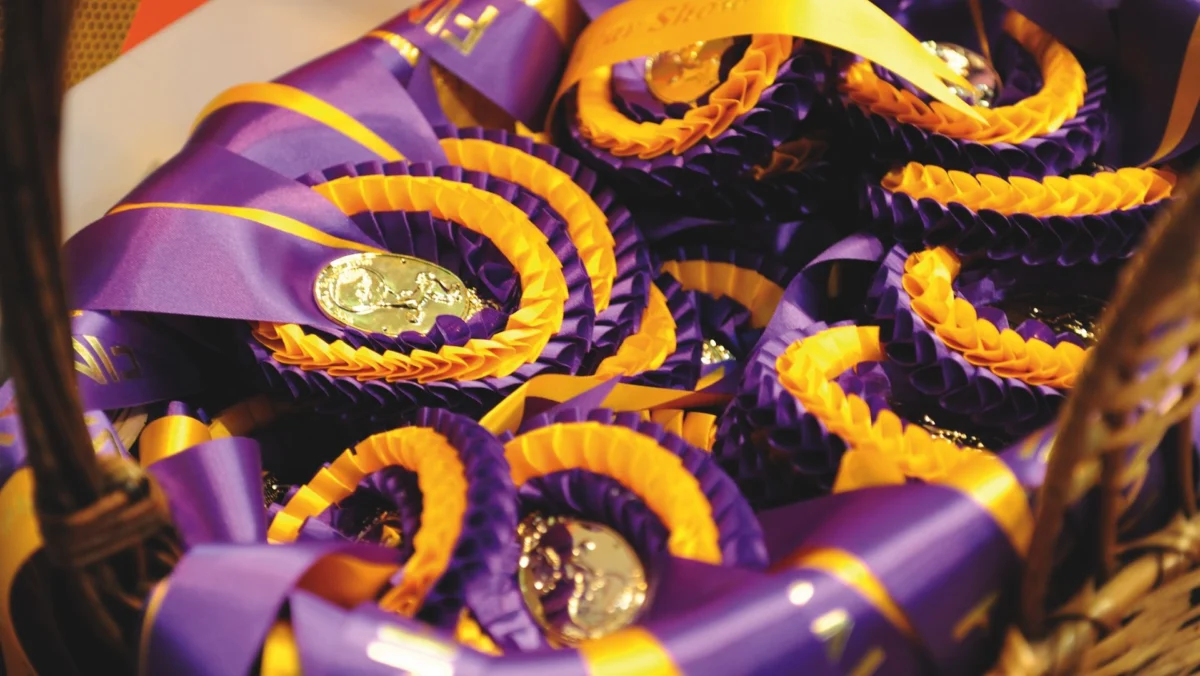 No 128cm Showjumping Finals at HOYS and London International from 2029 as Welfare Reforms Take Hold