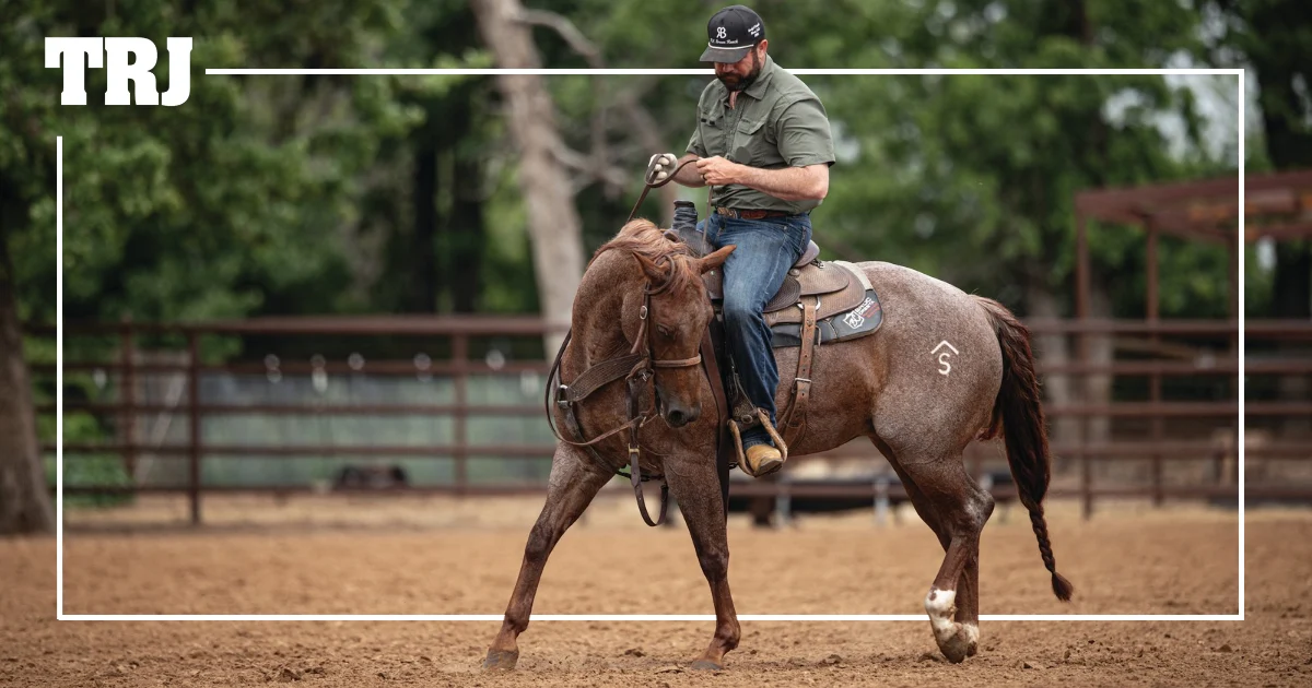 Paul Eaves Advocates Leg-First Horsemanship for Superior Heel Horse Performance