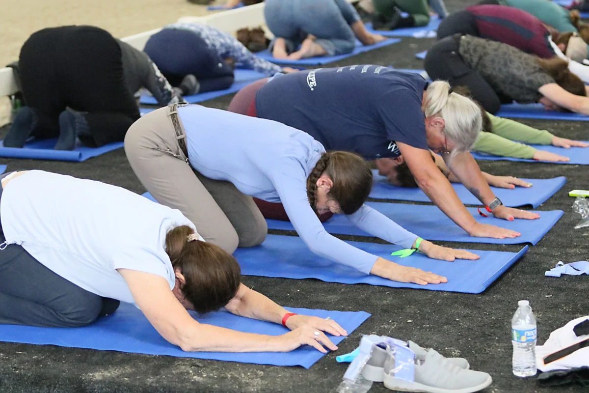 Riding Through the Changes: Elite Equestrians Navigate Midlife Fitness and Hormonal Shifts