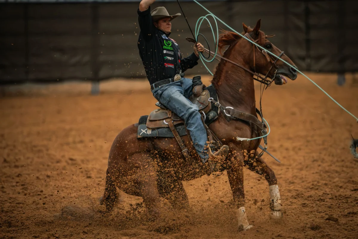 Rockk Star’s Remarkable Journey: From Wild Colt to Old West Futurity Heeling Frontrunner
