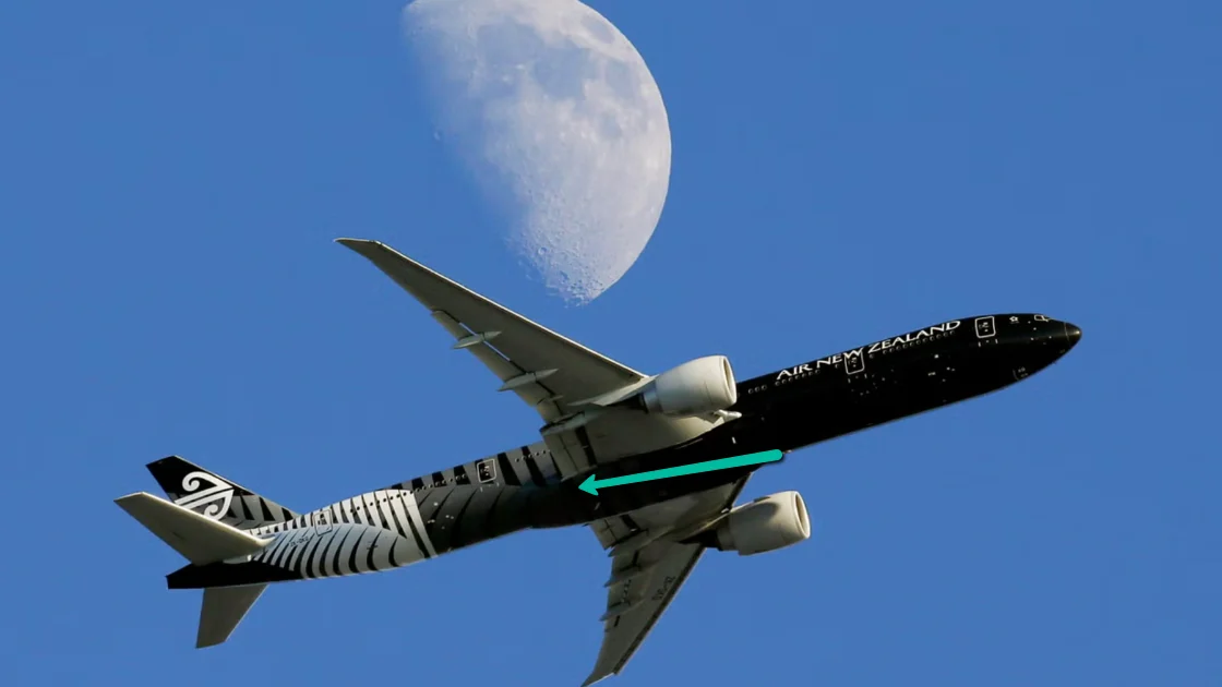 Scientists Propose Ambitious Lunar ‘Noah’s Ark’ for Endangered Species, Sparking Debate on Off-World Conservation Strategies