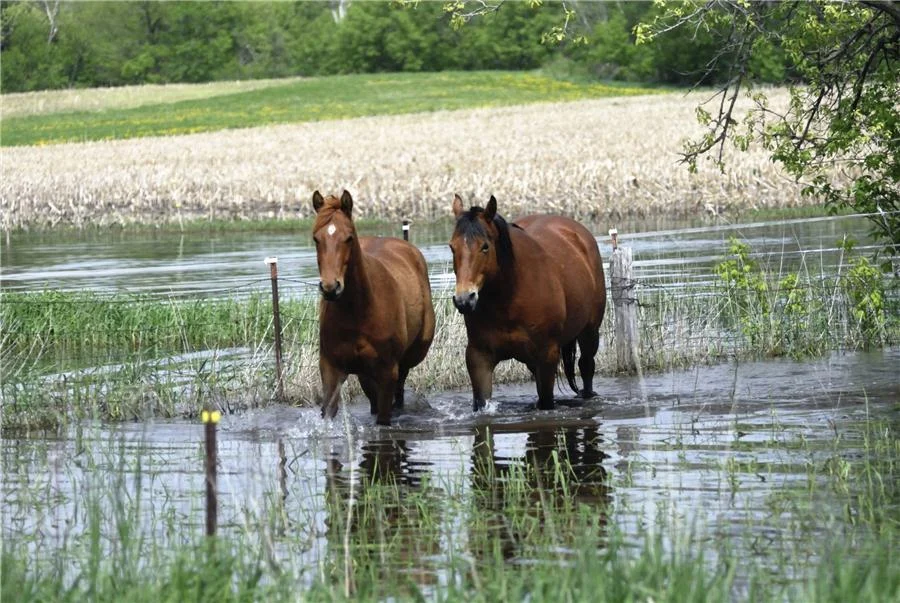 So You Want a Horse Farm: Part 2 – Environmental Planning
