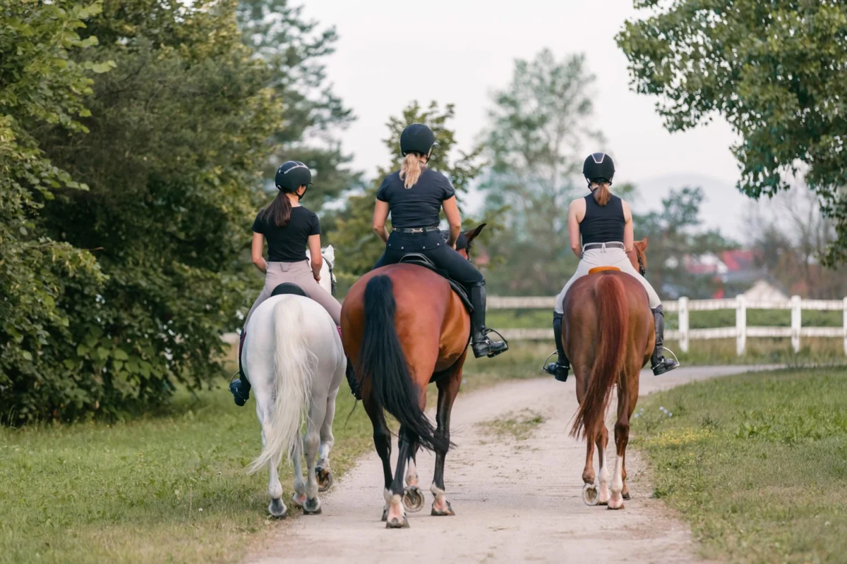 Strategic Preparation: The Indispensable Role of Periodization in Elite Eventing