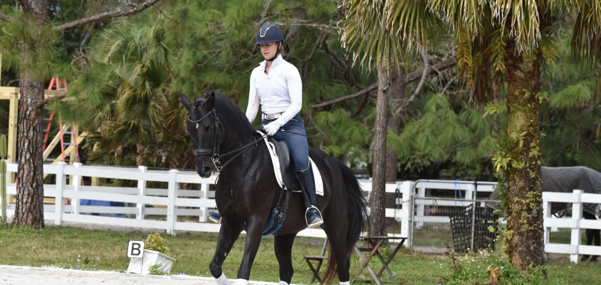 The Art of the Equine Warm-Up: A Foundation for Performance and Partnership