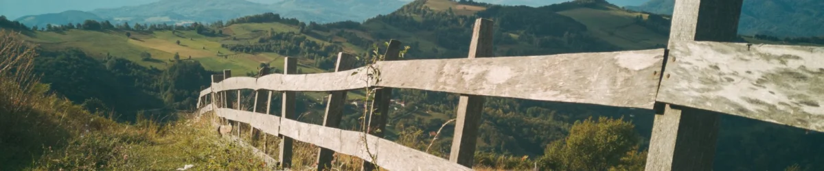 The Equine Industry’s Growing Commitment to Environmental Sustainability