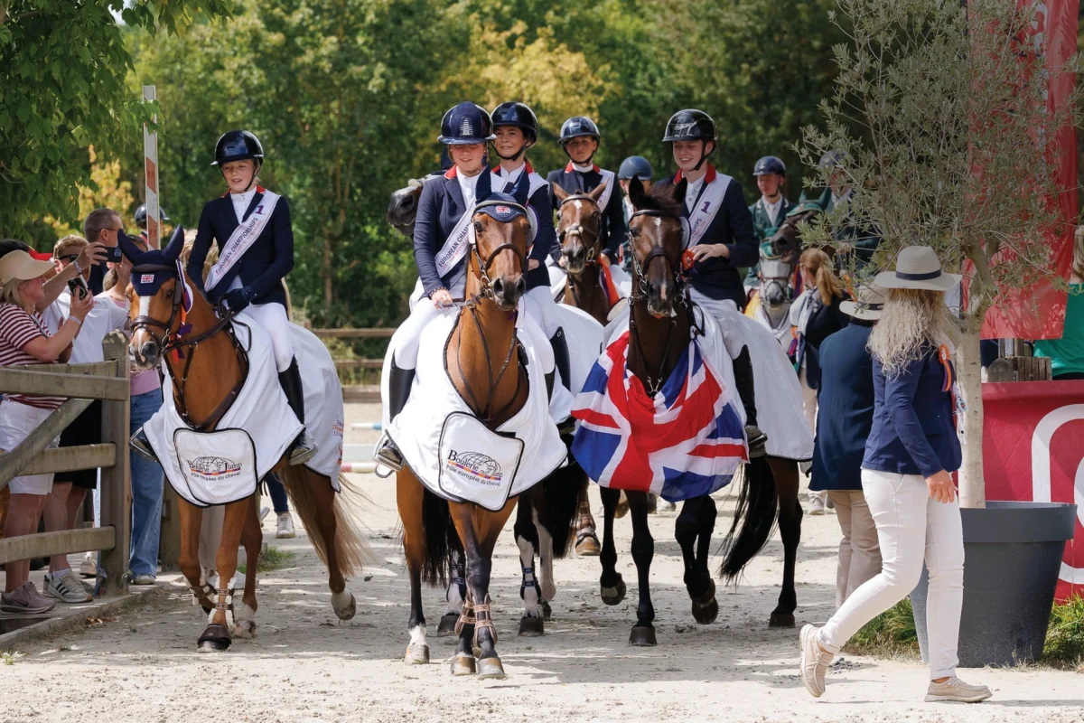 The Escalating Valuation of Elite Competition Ponies: A Deep Dive into Market Dynamics and Equestrian Accessibility