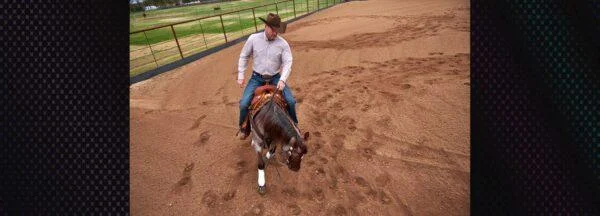 The Foundation of a Calm Lope: Addressing Lead Changes Through Loose Rein Control