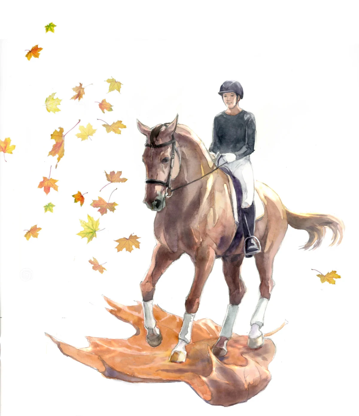 The Gentle Descent: Mastering Downward Transitions in Dressage