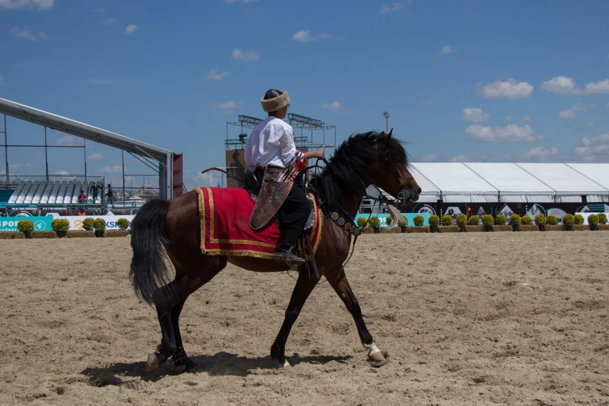 The Horse Inspection: The Unseen Crucible and Paramount Test of Welfare in Equestrian Eventing.