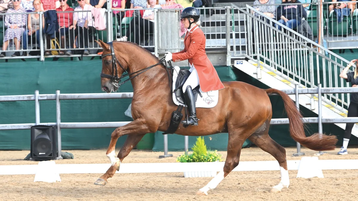 The LeMieux National Dressage Championships Showcase Elite Talent Amidst Olympic Preparations