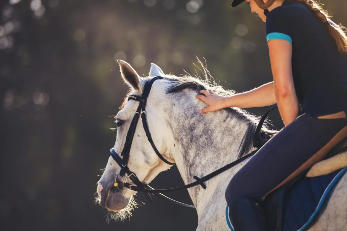 The Nervous System Has a Vote: Why "Just Be Confident" Fails Riders and What Truly Builds Resilience