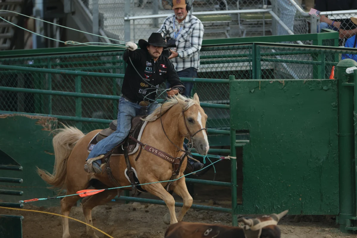 The Unyielding Spirit of Outlaw: How a "Prickly" Horse Redefined Dawson Graham’s Team Roping Destiny and Set Records in 2026