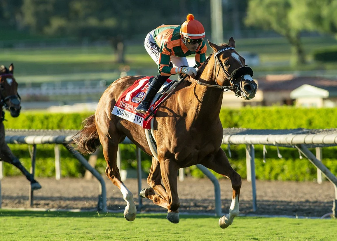 Thought Process Dominates Rodeo Drive Stakes, Securing Breeders’ Cup Filly & Mare Turf Berth