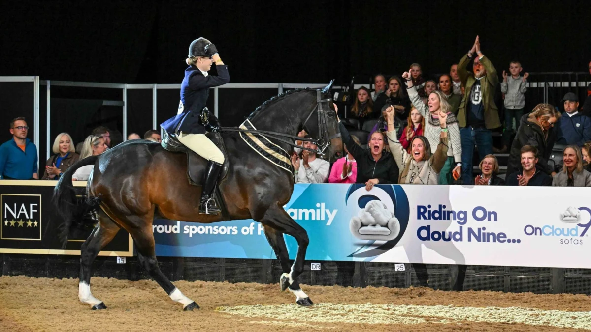 Tidy Town Makes Equestrian History as First Small Hunter in Over Four Decades to Clinch Supreme Horse Title at Prestigious 2026 Horse of the Year Show