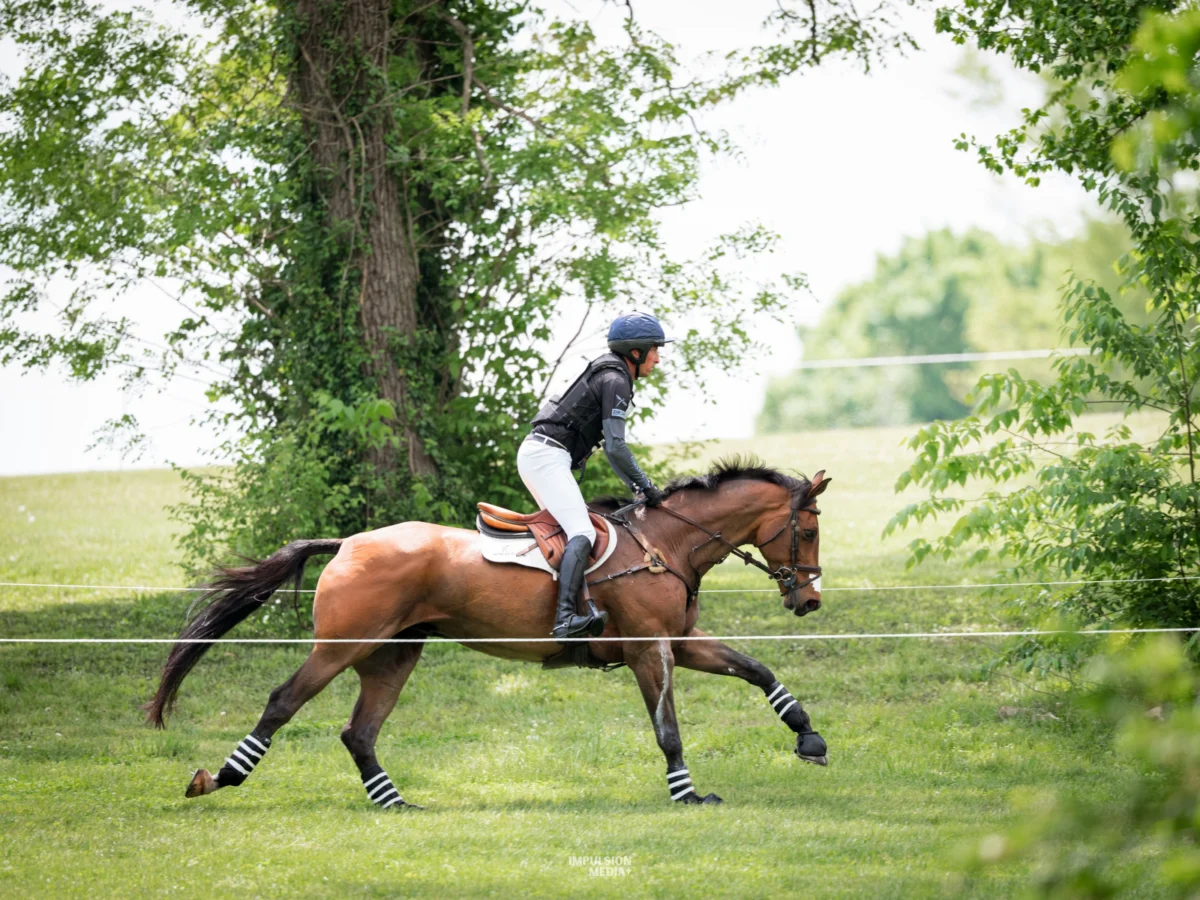US Equestrian Proposes Significant Dexamethasone Reclassification, Sparking Industry Discussion