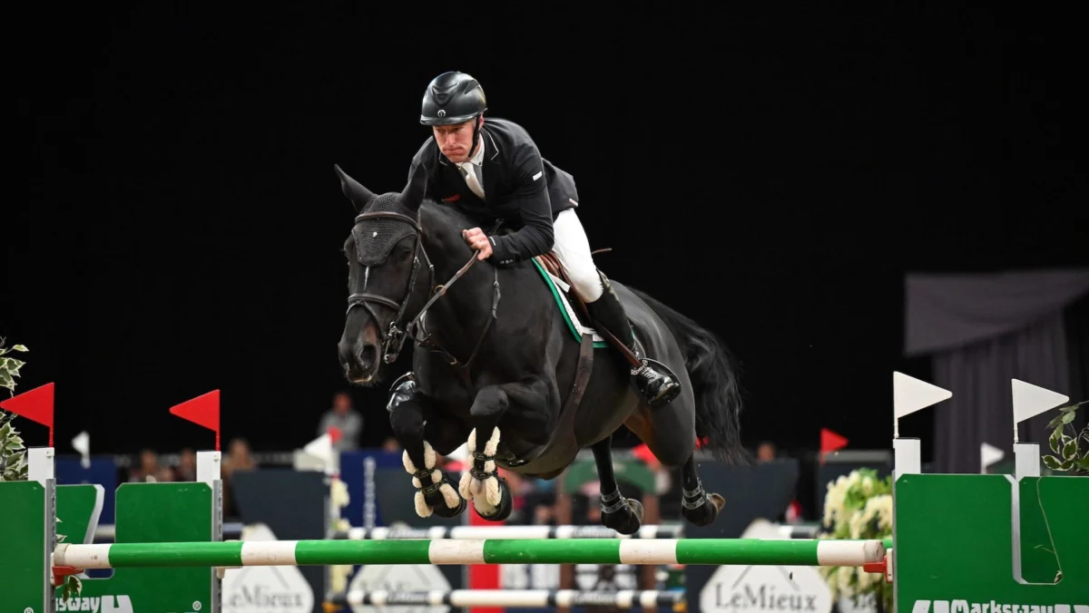 William Whitaker Claims Grandstand Welcome Stakes at HOYS with La Vie Est D’Or